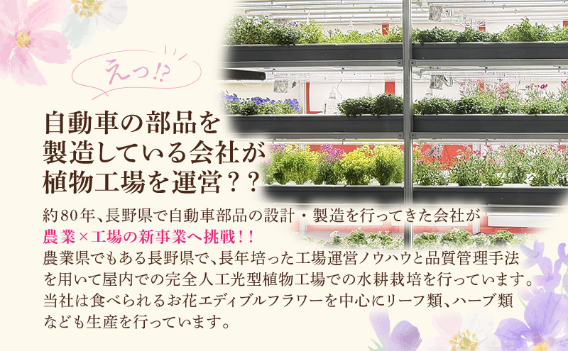 自動車部品メーカーが作った植物工場!エディブルフラワーの収穫体験付き工場見学(大人2名+小学生以下2名まで)栽培期間中無農薬で育てたリーフ&エディブルフラワーサラダカップのお土産付き 食用花 お花 サ